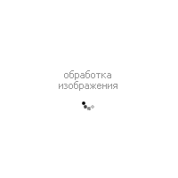 Сумка Thomas Munz 600-41L-62308 фото 1